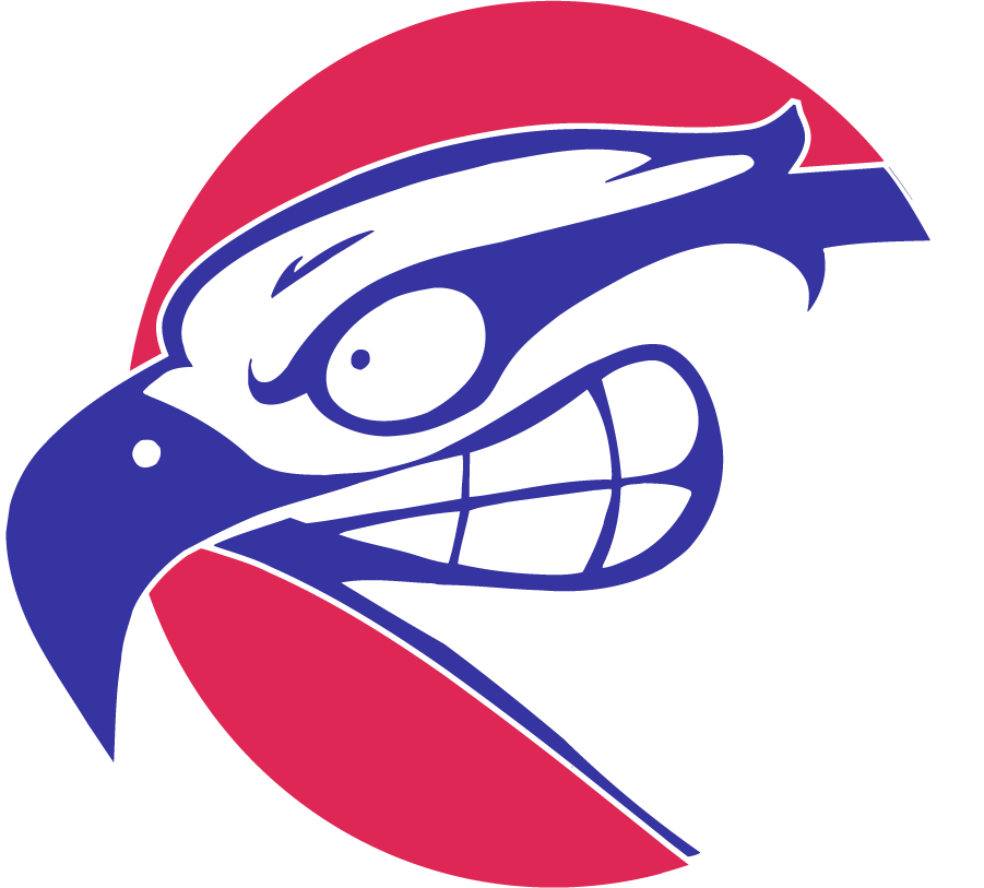 UMass Lowell River Hawks 1997-2006 Secondary Logo v2 DIY iron on transfer (heat transfer)